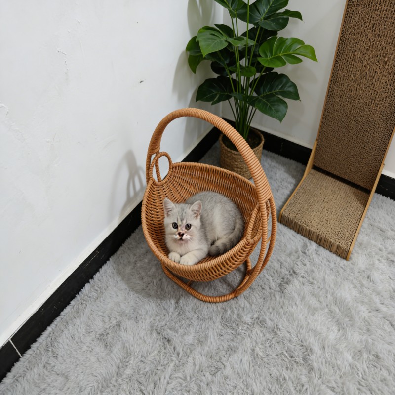 Woven Basket with Curved Carry Handle — thumbnail 7