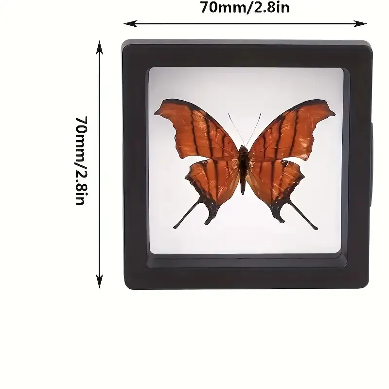 Transparent Display Frame for Jewelry and Keepsakes — thumbnail 42
