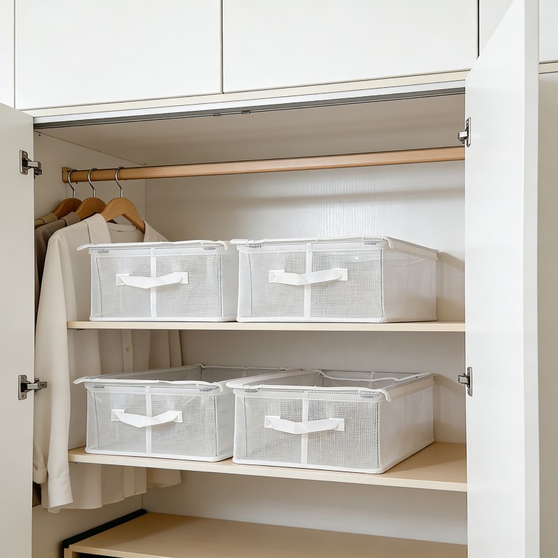 Clear Closet Storage Bin with Lid