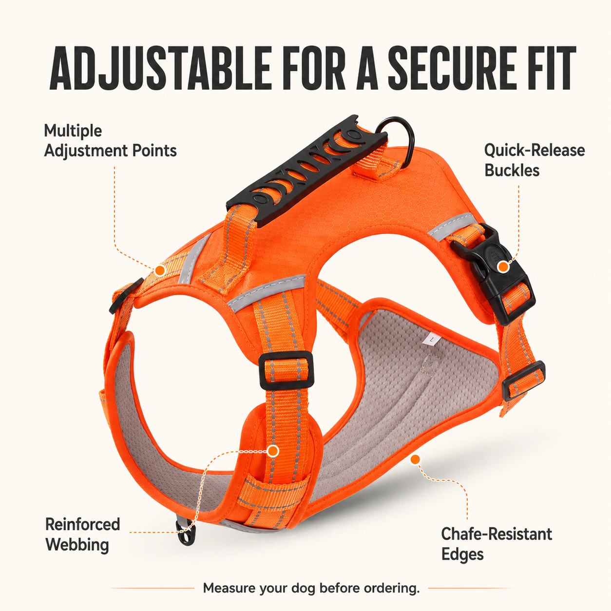 Padded Dog Harness with Dual Leash Attachment Points — thumbnail 3