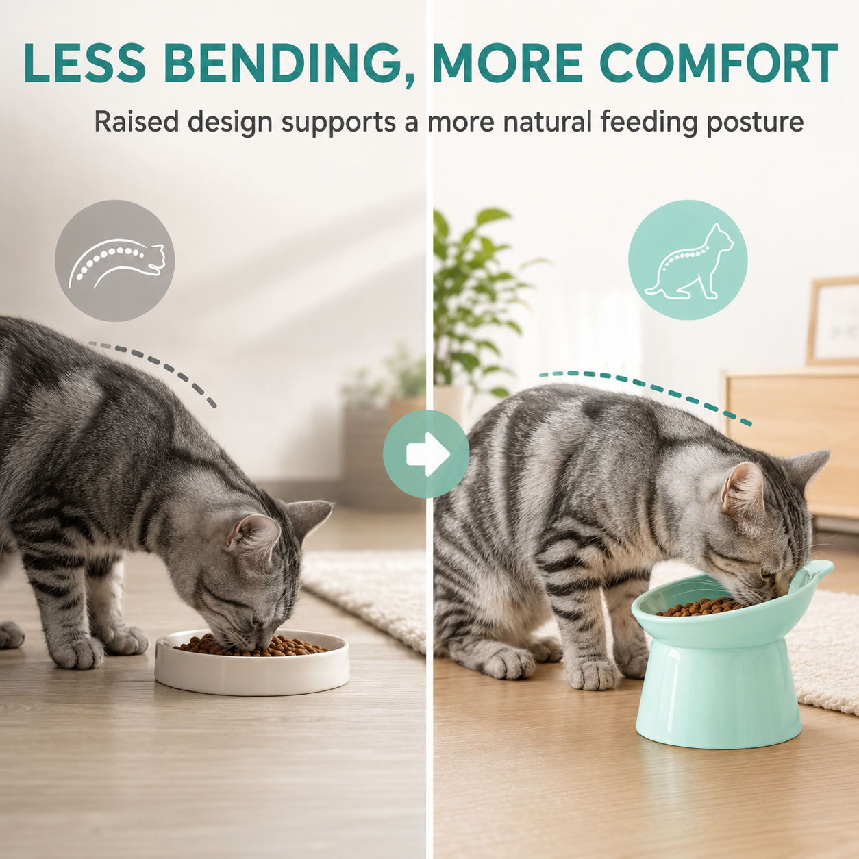 Elevated Tilted Pet Feeding Bowl — thumbnail 6